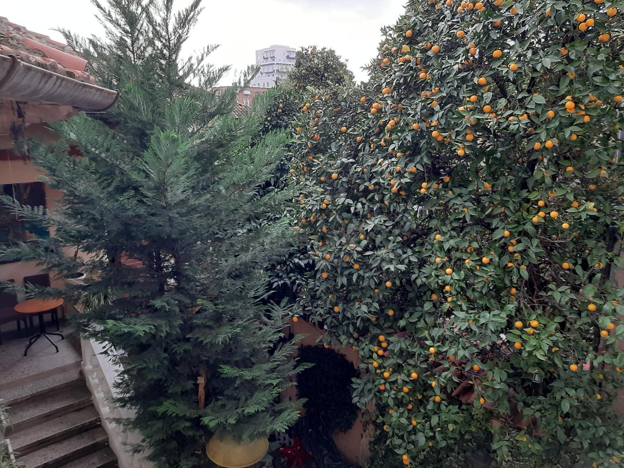 Enki'S Guesthouse Tirana Exterior photo